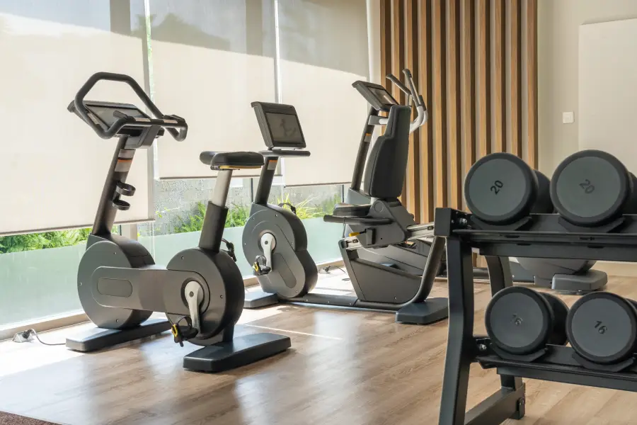 Fitness & Wellness Industry